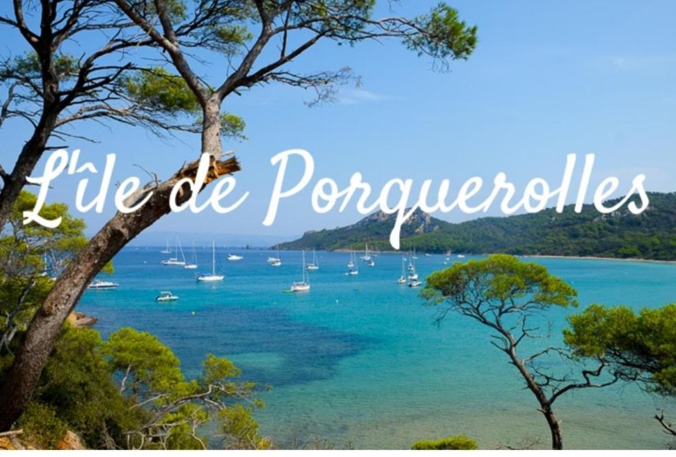 Le Terra-Cota 3 Ch Privees 10' Gare-Port Et Plage, Wfi, Cosy Toulon Bagian luar foto